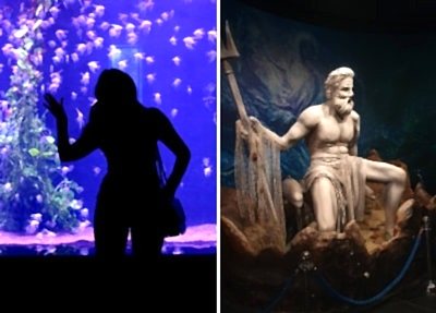 Alanya Antalya Akvaryum Turu